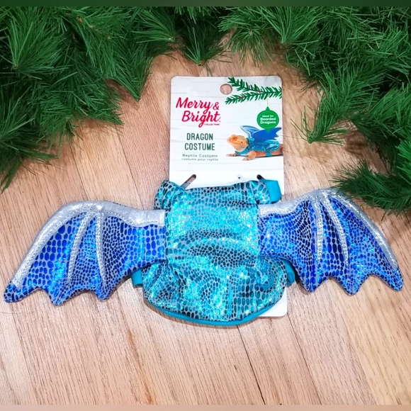 Bearded Dragon - Dragon costume - Picture 2 of 3